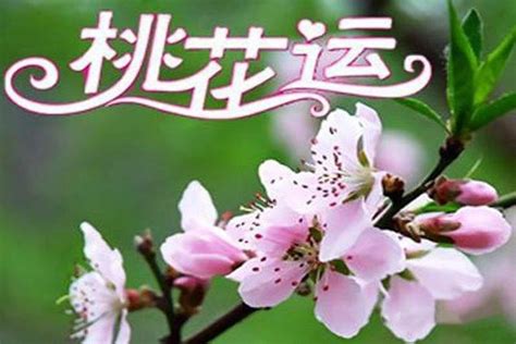 咸池桃花年|八字神煞解析——咸池